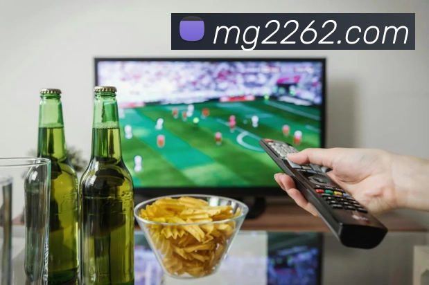 数据分析功能